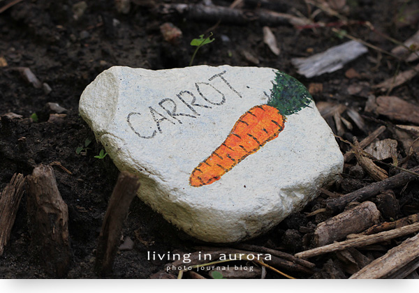 Carrot Stone Marker, Another Project by Windfall Ecology Centre
