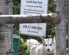 Canine Leash-Free-Park, Found Parking On Industrial Parkway To Access The Arboretum