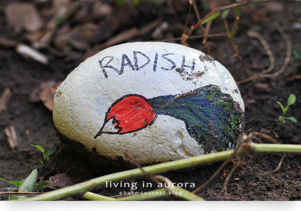 Radish Stone Marker, Another Project by Windfall Ecology Centre