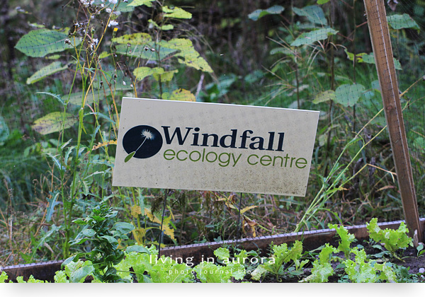 Windfall Ecology Centre, Sheppard's Bush Conservation Area
