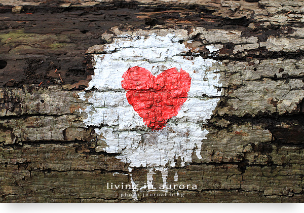 Painted Heart, Case Woodlot Trail, Aurora