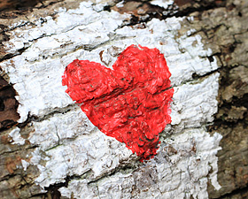 Case Woodlot Trail of Hearts, Painted Hearts, Engraved Hearts